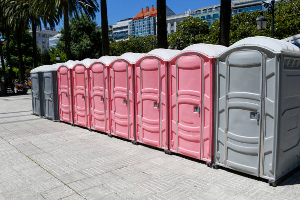 Best Portable Toilets with Baby Changing Stations  in Elkton, VA